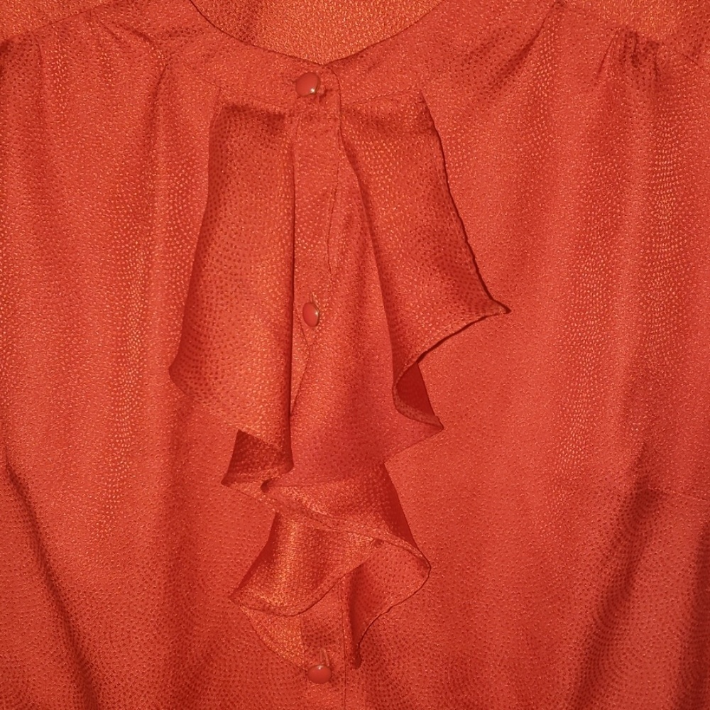 Button Down Blouse - image 2